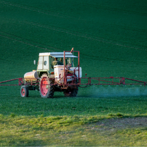 Pesticide Residue - Food